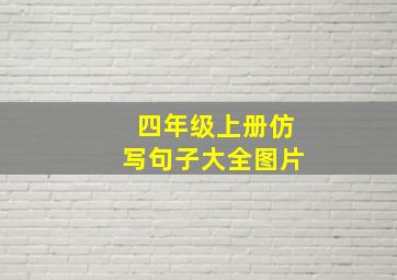 四年级上册仿写句子大全图片