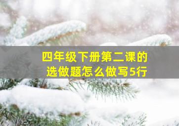 四年级下册第二课的选做题怎么做写5行