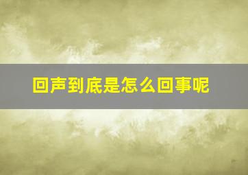 回声到底是怎么回事呢