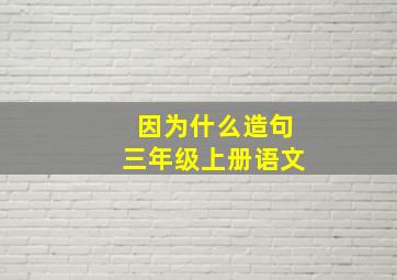 因为什么造句三年级上册语文