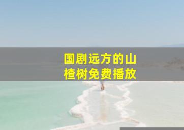 国剧远方的山楂树免费播放