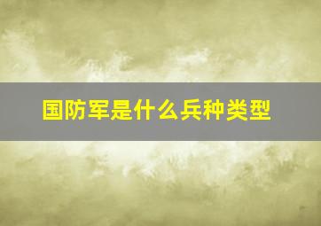 国防军是什么兵种类型