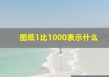 图纸1比1000表示什么