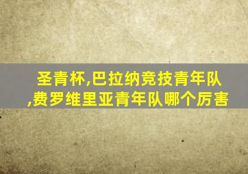 圣青杯,巴拉纳竞技青年队,费罗维里亚青年队哪个厉害