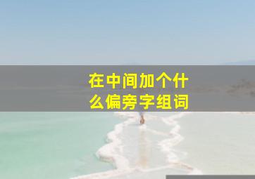 在中间加个什么偏旁字组词