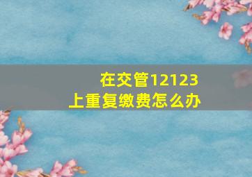 在交管12123上重复缴费怎么办