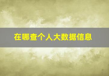 在哪查个人大数据信息