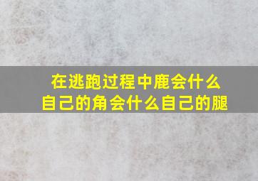 在逃跑过程中鹿会什么自己的角会什么自己的腿