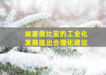 埃塞俄比亚的工业化发展提出合理化建议