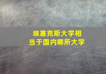 埃塞克斯大学相当于国内哪所大学