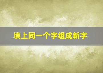 填上同一个字组成新字