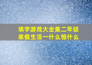 填字游戏大全集二年级寒假生活一什么惊什么