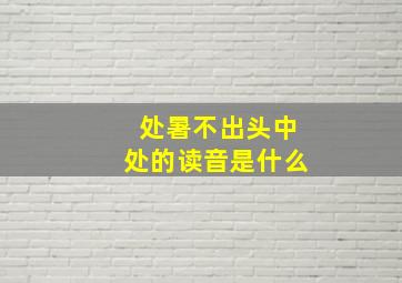 处暑不出头中处的读音是什么