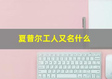 夏普尔工人又名什么