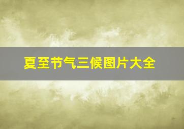 夏至节气三候图片大全