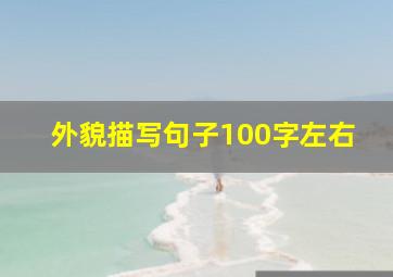 外貌描写句子100字左右