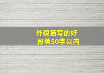 外貌描写的好段落50字以内