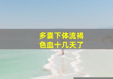 多囊下体流褐色血十几天了