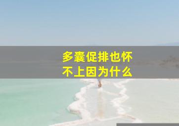 多囊促排也怀不上因为什么