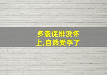 多囊促排没怀上,自然受孕了