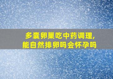 多囊卵巢吃中药调理,能自然排卵吗会怀孕吗