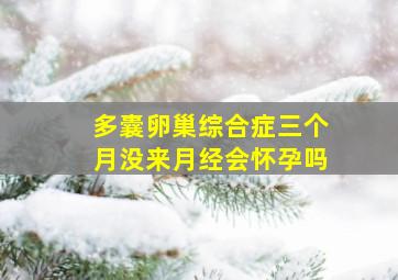 多囊卵巢综合症三个月没来月经会怀孕吗