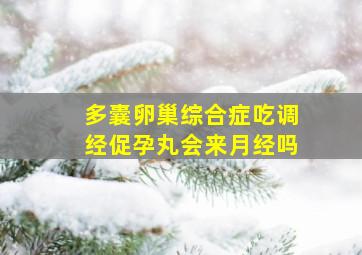 多囊卵巢综合症吃调经促孕丸会来月经吗