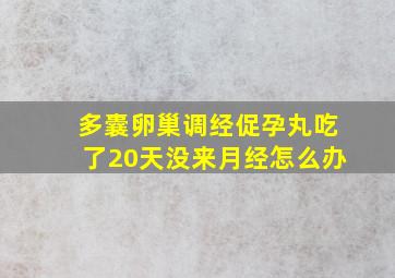 多囊卵巢调经促孕丸吃了20天没来月经怎么办