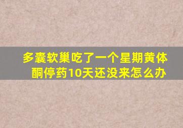 多囊软巢吃了一个星期黄体酮停药10天还没来怎么办