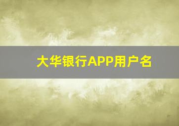 大华银行APP用户名