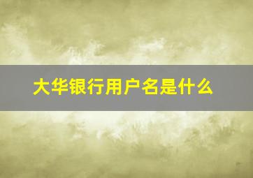 大华银行用户名是什么