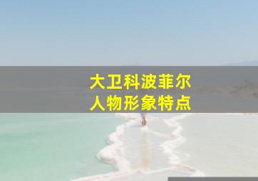 大卫科波菲尔人物形象特点