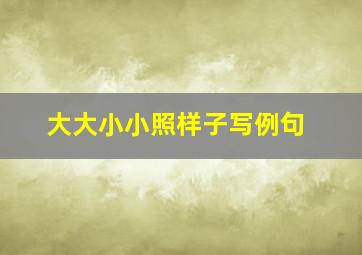 大大小小照样子写例句