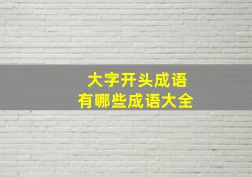 大字开头成语有哪些成语大全