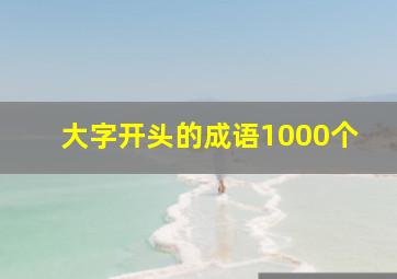 大字开头的成语1000个