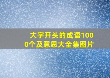 大字开头的成语1000个及意思大全集图片