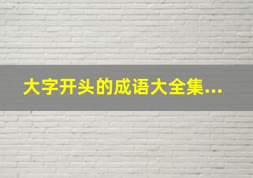 大字开头的成语大全集...