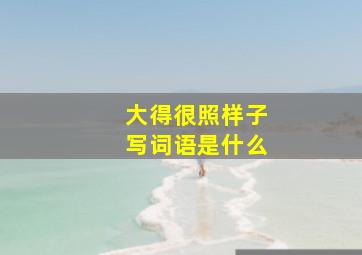 大得很照样子写词语是什么