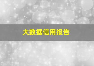 大数据信用报告