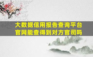 大数据信用报告查询平台官网能查得到对方官司吗