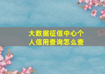 大数据征信中心个人信用查询怎么查