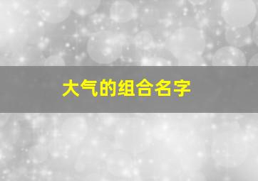 大气的组合名字