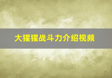 大猩猩战斗力介绍视频