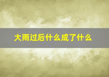 大雨过后什么成了什么