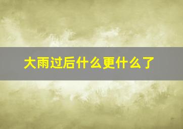 大雨过后什么更什么了