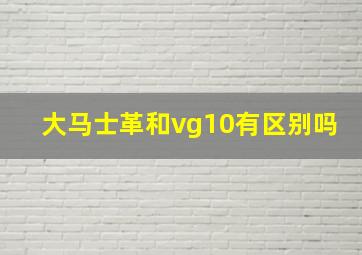 大马士革和vg10有区别吗