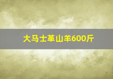 大马士革山羊600斤