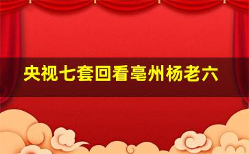 央视七套回看亳州杨老六