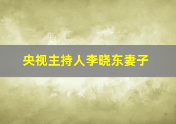 央视主持人李晓东妻子