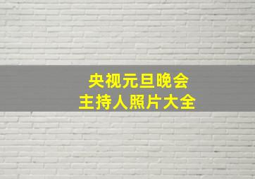 央视元旦晚会主持人照片大全